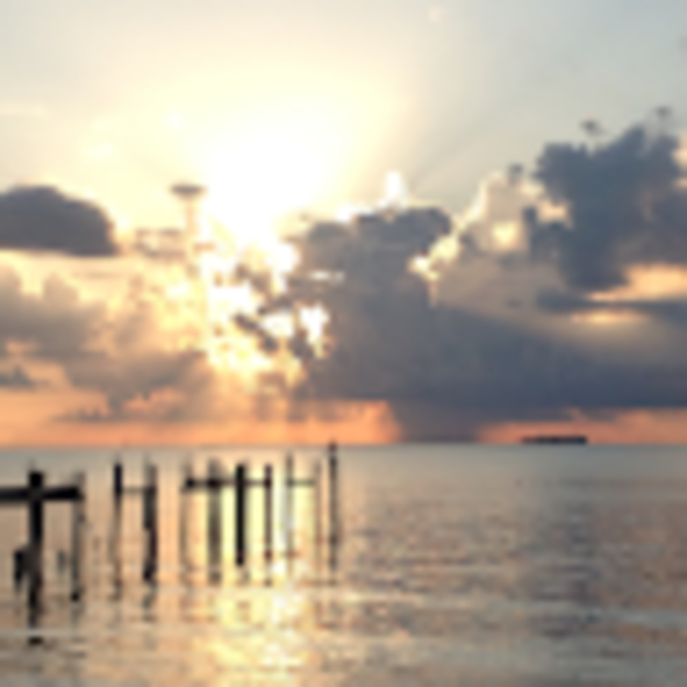 Meet your Posher, Laurie